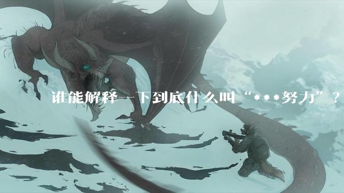 谁能解释一下到底什么叫“***努力”？