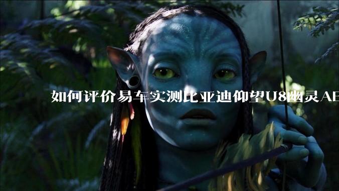 如何评价易车实测比亚迪仰望U8幽灵AEB，小孩探头不出来幽灵刹车，90km小孩不在也幽灵刹车?