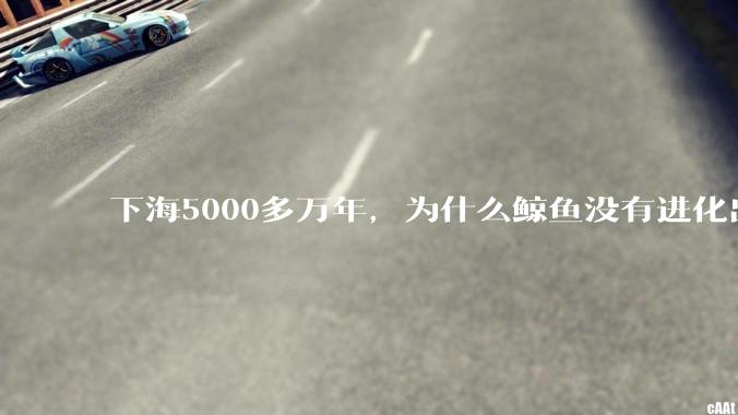 下海5000多万年，为什么鲸鱼没有进化出鳃？