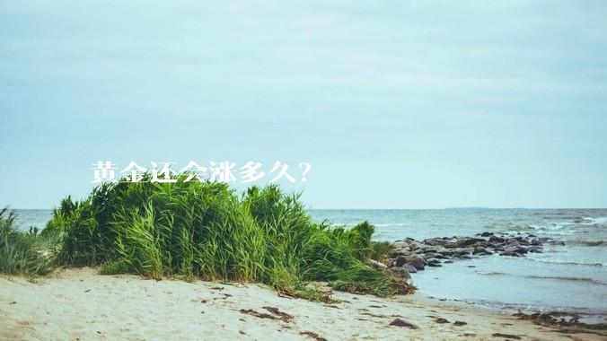 黄金还会涨多久？
